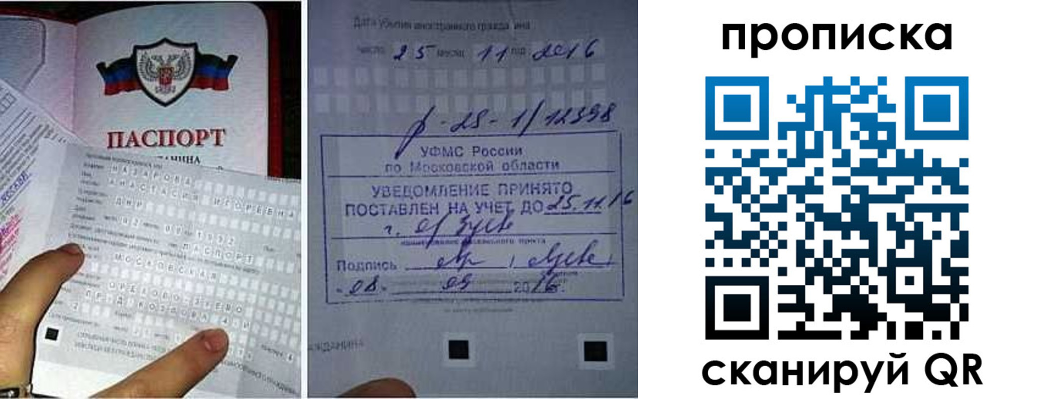 регистрация в Мурманской области